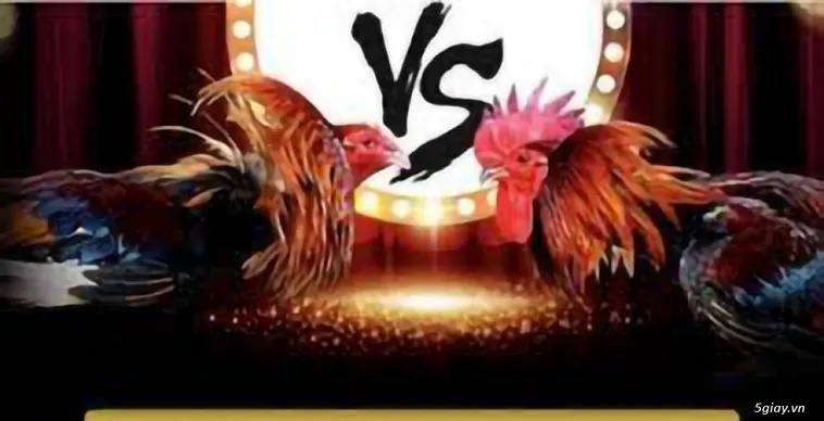 Khám Phá Sức Hút Của Đá Gà AZ888 Trong Thị Trường Giải Trí