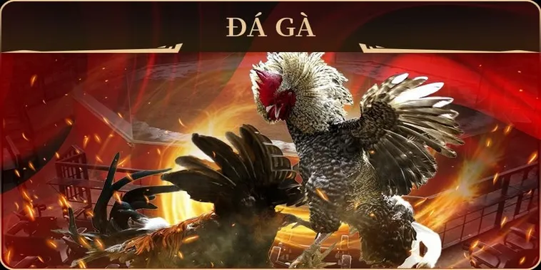 Hướng Dẫn Cách Chơi Đá Gà GA28 Tại AZ888 Dành Cho Bet Thủ